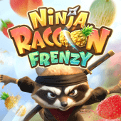 Ninja Racoon Frenzy